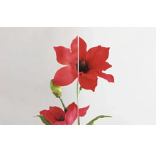 ARON Vordach Pultform Nancy VSG 150x80 cm anthrazit-thumb-5