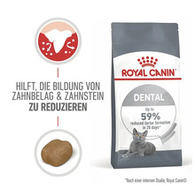 Royal Canin Dental Katzenfutter zur Reduzierung von Zahnbelag und Zahnstein