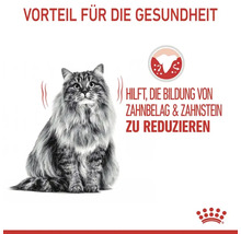 Katze mit Hinweis zur Reduzierung von Zahnbelag und Zahnstein