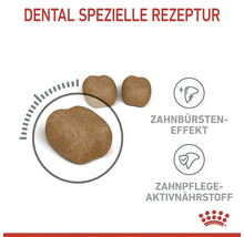 Royal Canin Dental Spezialrezeptur Hundefutter mit Zahnbürsten-Effekt und Zahnpflege-Aktivnährstoff
