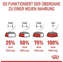 Diagramm zur Umstellung auf neues Tierfutter über einen Zeitraum von sieben Tagen