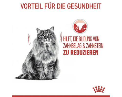 Katze mit Hinweis zur Reduzierung von Zahnbelag und Zahnstein