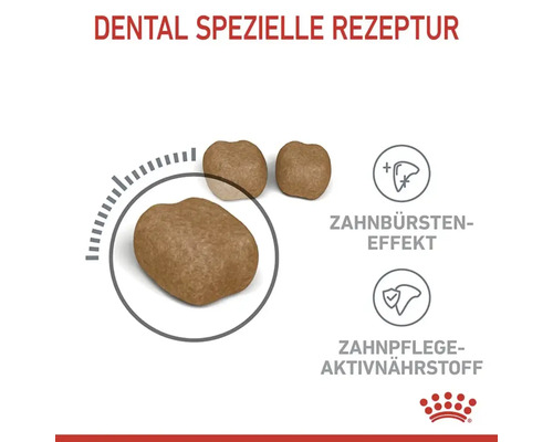 Royal Canin Dental Hundefutter mit Zahnbürsten Effekt und Zahnpflege Aktivnährstoff