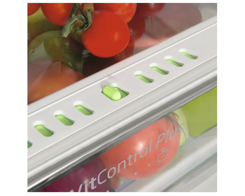 Gemüsefach im Kühlschrank mit Tomaten und VitControl Plus