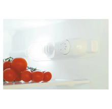 Innenansicht eines Kühlschranks mit Temperaturregler und Tomaten