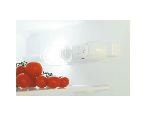 Innenansicht eines Kühlschranks mit Temperaturregler und Tomaten