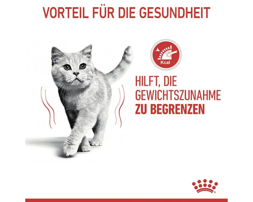 Katze geht, Text sagt Vorteil für die Gesundheit, hilft Gewichtszunahme zu begrenzen