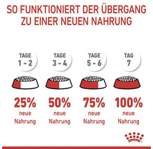 Anleitung zur Umstellung auf eine neue Tiernahrung mit einem Anteil von 25, 50, 75 und 100 Prozent neuer Nahrung über sieben Tage.