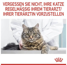 Katze wird von Tierarzt untersucht. Text: Vergessen Sie nicht, Ihre Katze regelmässig Ihrem Tierarzt vorzustellen.