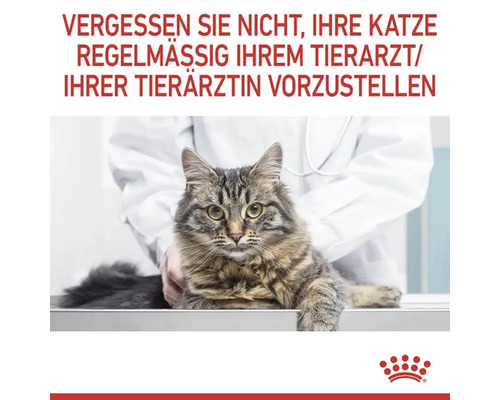 Katze wird von Tierarzt untersucht. Text: Vergessen Sie nicht, Ihre Katze regelmässig Ihrem Tierarzt vorzustellen.