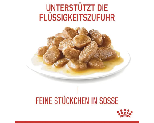 Katzenfutter mit Stückchen in Soße auf einem Teller