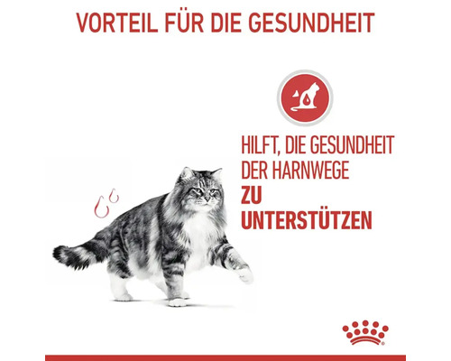 Katze mit Hinweis auf Unterstützung der Harnwegsgesundheit