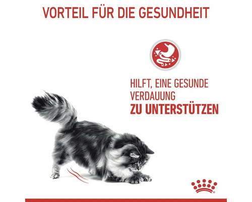 Katze, Vorteil für die Gesundheit, unterstützt eine gesunde Verdauung