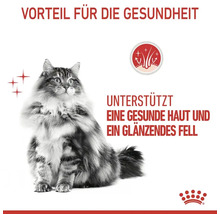 Katzenfutter trocken ROYAL CANIN Hair & Skin 2 kg-thumb-4