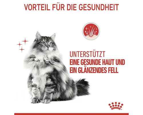 Katzenfutter zur Unterstützung gesunder Haut und glänzendem Fell