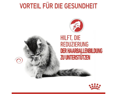 Katze putzt sich selbst. Vorteil für die Gesundheit: Unterstützt die Reduzierung der Haarballenbildung. Royal Canin Logo.