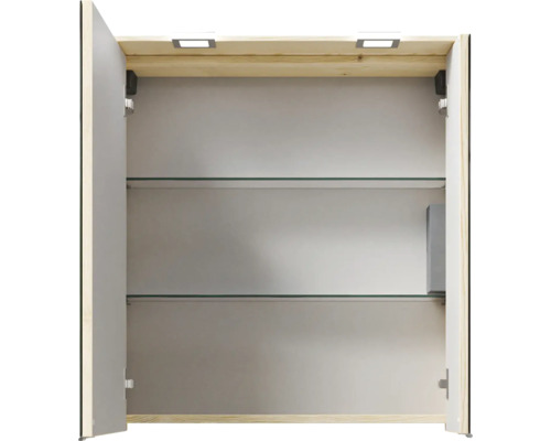 Offener Spiegelschrank mit Glasablagen und Beleuchtung.