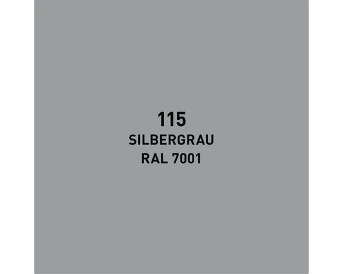 Farbmuster Silbergrau Farbton 115 RAL 7001