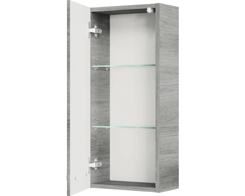 Offener grauer Hängeschrank mit zwei Glasböden