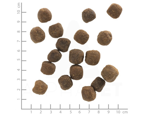 Nahaufnahme von Trockenfutter für Hunde mit Größenangabe in Zentimetern