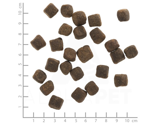 Braunes Trockenfutter für Hunde auf einem Messlineal