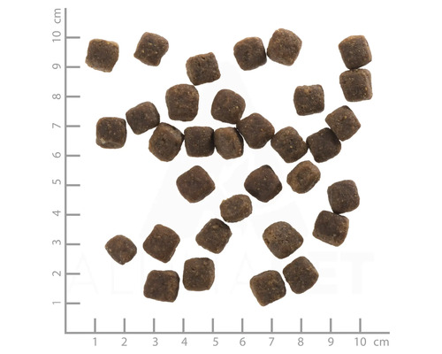 Hundefutterwürfel auf einem Zentimetermaßstab