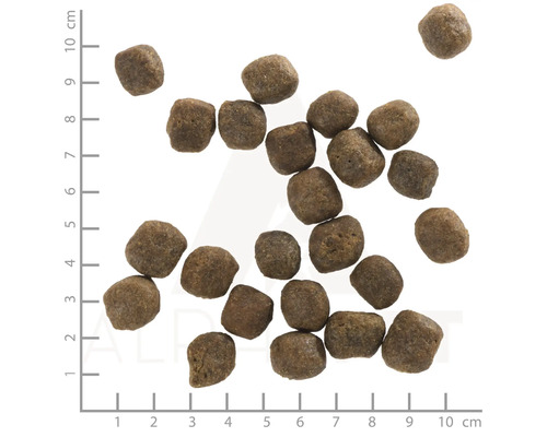 Trockenfutter für Hunde mit Zentimeter-Skala