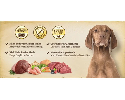 Hund mit Hundefutter, das viel Fleisch, Superfood sowie getreidefreie und glutenfreie Inhaltsstoffe enthält