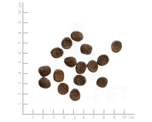 Trockenfutter für Hunde auf Zentimeterskala