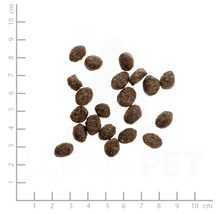 Hundefutter Pellets auf einem Messlineal