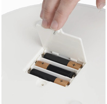 Batteriefach mit Batterien