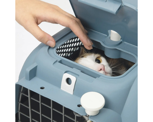 Katze in blauer Transportbox mit Hand, die den Deckel öffnet