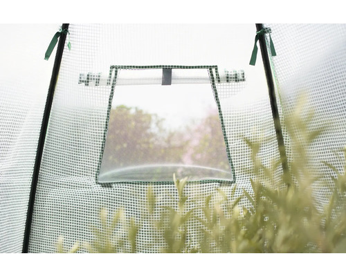 Detailansicht eines Gewächshauses mit geöffnetem Fenster zur Belüftung.