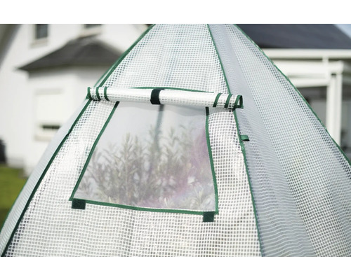Detailaufnahme eines Gewächshauses mit Fenster