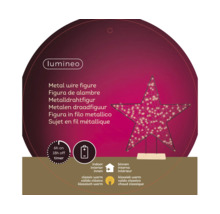 Lumineo Metalldrahtfigur Stern mit Timer für den Innenbereich