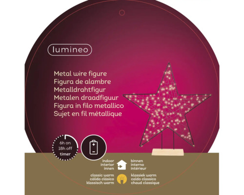 Lumineo Metalldrahtfigur Stern mit Timer für den Innenbereich