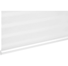Fensterrollo
