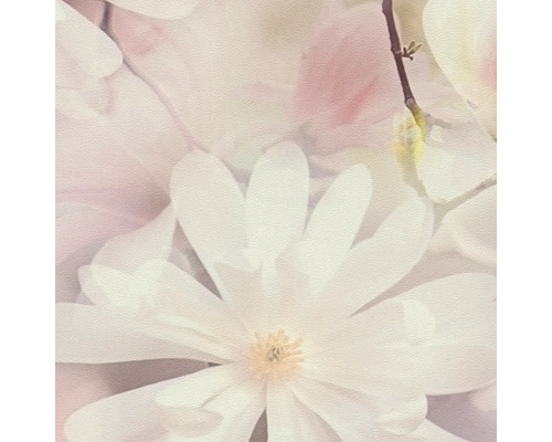 Nahaufnahme von Magnolienblüten