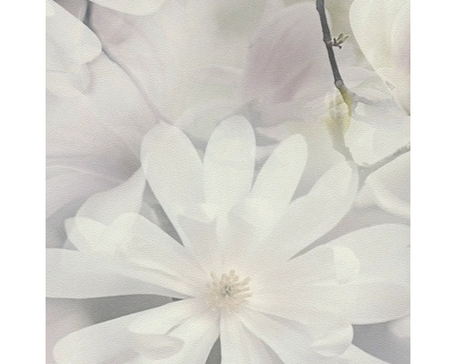 Nahaufnahme von weißen Magnolienblüten