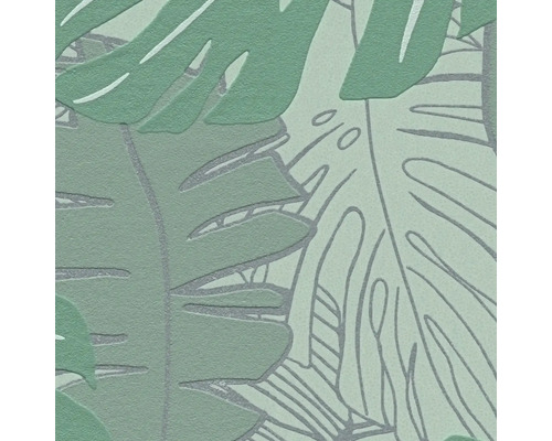 Tapete mit Monstera Blatt Muster