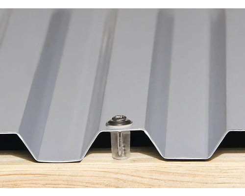 Detailaufnahme einer Profilplatte mit Befestigungsschraube auf Holzuntergrund