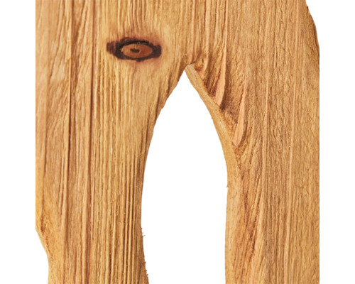 Detailaufnahme von Holz mit Astloch
