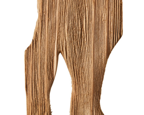 Stück Holz mit Maserung