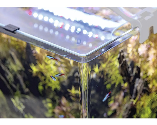 Detailaufnahme eines Aquariums mit Pflanzen, Fischen und Beleuchtung