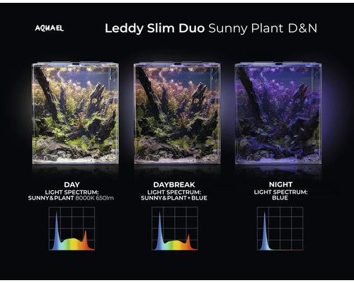 Aquael Leddy Slim Duo Sunny Plant D&N Aquarium mit Tag-, Tages- und Nachtbeleuchtung.
