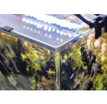 Detailansicht eines Aquariums mit Pflanzen, Fischen und Beleuchtung