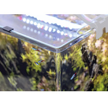 Detailansicht eines Aquariums mit Pflanzen, Fischen und LED-Beleuchtung