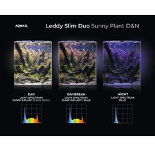 Aquael Leddy Slim Duo Sunny Plant D&N Aquarium mit Tag-, Tages- und Nachtlichtspektrum