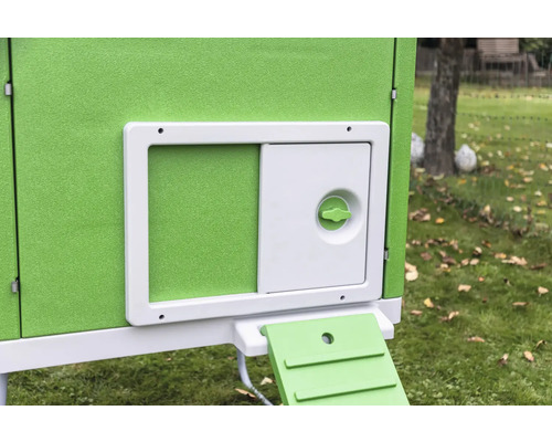 Detailansicht eines Hühnerstalls mit Tür und Rampe