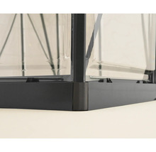 Detailansicht eines Gewächshauses mit Rahmen und transparenten Paneelen.